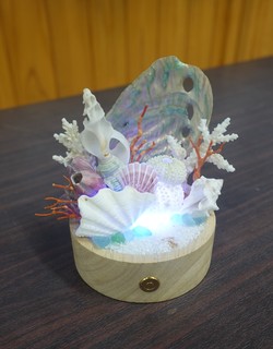 DSC00653