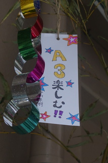 DSC00666